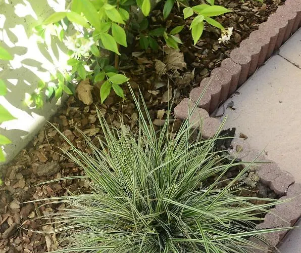 Anma The Secret Garden アパート Pianello Del Lario